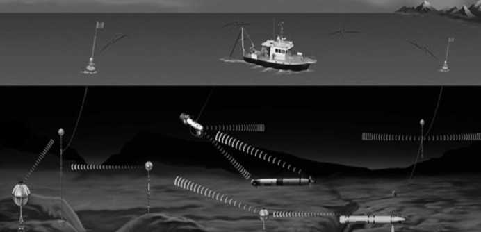 1767430635560959.jpg 1767430635560959.jpg