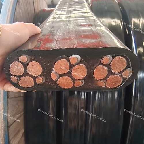 a cross-section vew of flat cable.jpg